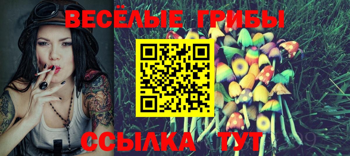 Псилоцибиновые грибы мухоморы Тула