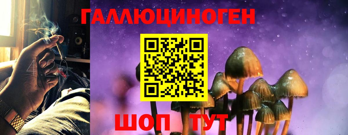 Галлюциногенные грибы ЛСД  Вход с VPN  Тула 