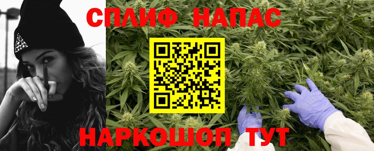 Шишки марихуана планчик  Вход с VPN  Тула  Каннабис сатива  Марихуана White Widow 